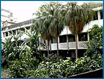 Sarvamangala Hat